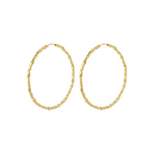 Load image into Gallery viewer, Pilgrim SUN Mega Hoops