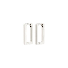Load image into Gallery viewer, Pilgrim Feel Earrings