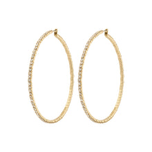 Load image into Gallery viewer, Pilgrim Sidney Hoop Earrings