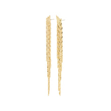Load image into Gallery viewer, Pilgrim Zenobia Earrings