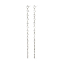Load image into Gallery viewer, Pilgrim Reagan Earrings