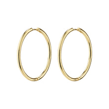 Load image into Gallery viewer, Pilgrim EANNA Maxi Hoops
