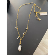 Load image into Gallery viewer, Pranella Chacha Chain Necklace