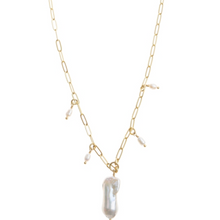Load image into Gallery viewer, Pranella Chacha Chain Necklace