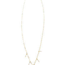 Load image into Gallery viewer, Pranella Chacha Chain Necklace