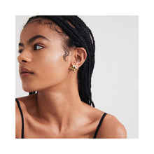 Load image into Gallery viewer, Pilgrim Force Recycled Earrings