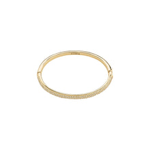 Load image into Gallery viewer, Pilgrim Focus Recycled Bangle