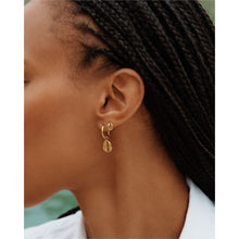 Load image into Gallery viewer, Edblad Coastal Hoops