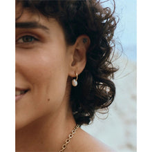 Load image into Gallery viewer, Edblad Breeze Hoops Small