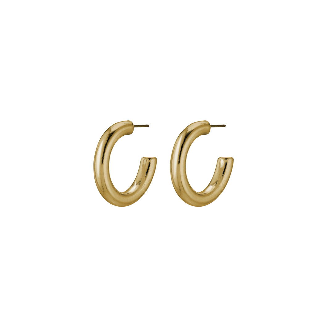 Pilgrim Dolag Earrings