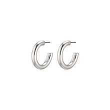Load image into Gallery viewer, Pilgrim Dolag Earrings
