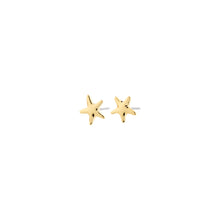 Load image into Gallery viewer, Pilgrim Andre Earrings
