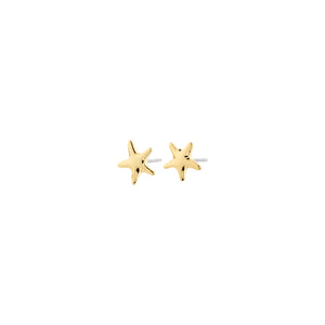 Pilgrim Andre Earrings