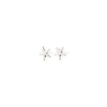 Load image into Gallery viewer, Pilgrim Andre Earrings
