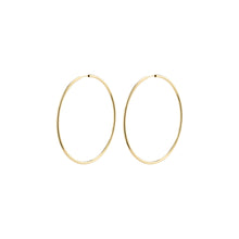 Load image into Gallery viewer, Pilgrim April Large Hoop Earrings
