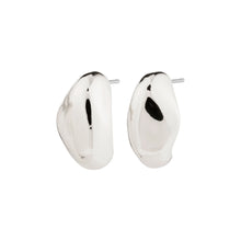 Load image into Gallery viewer, Pilgrim Dune Earrings
