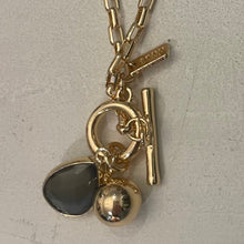 Load image into Gallery viewer, Envy Necklace With Charms
