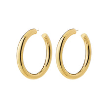 Load image into Gallery viewer, Pilgrim Tovin Hoop Earrings
