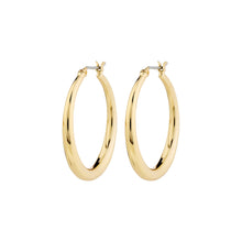 Load image into Gallery viewer, Pilgrim Jorun Hoop Earrings
