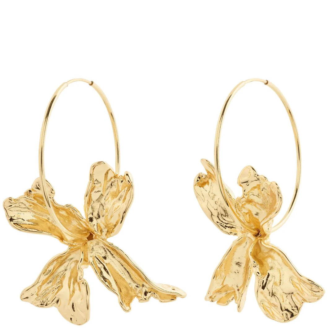 Pilgrim Dream Hoop Earrings