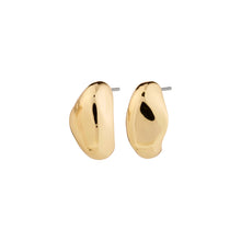 Load image into Gallery viewer, Pilgrim Dune Earrings
