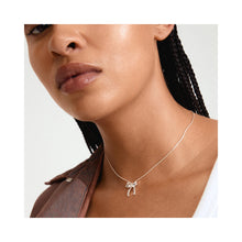 Load image into Gallery viewer, Pilgrim Cassian Necklace
