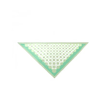 Load image into Gallery viewer, Park Lane Scarf SC1962
