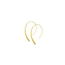 Load image into Gallery viewer, Dansk Passion Waterproof Simple Hoop Earrings
