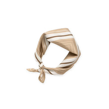 Load image into Gallery viewer, YAYA 03-501058-609 Satin Striped Scarf
