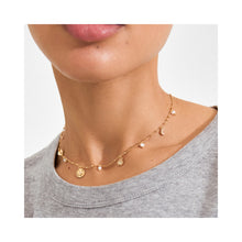 Load image into Gallery viewer, Pilgrim Mylan Necklace
