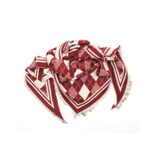 Load image into Gallery viewer, On Trend Argyle Scarf
