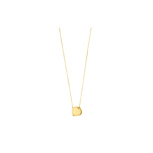 Load image into Gallery viewer, Pilgrim Presense Coin Necklace

