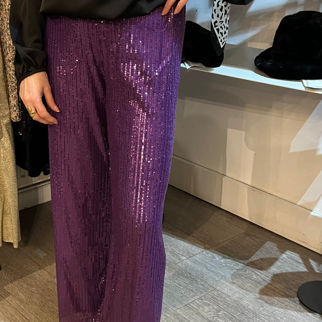 On Trend Solid Sequin Trousers